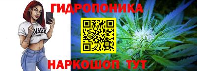 крисы Апшеронск