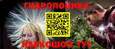 ПСИЛОЦИБИНОВЫЕ ГРИБЫ Аргун
