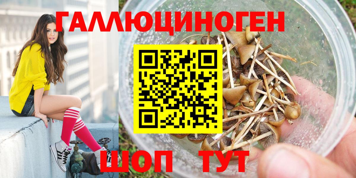 Псилоцибиновые грибы Cubensis  Вход с VPN  Благодарный  Псилоцибиновые грибы MAGIC MUSHROOMS 